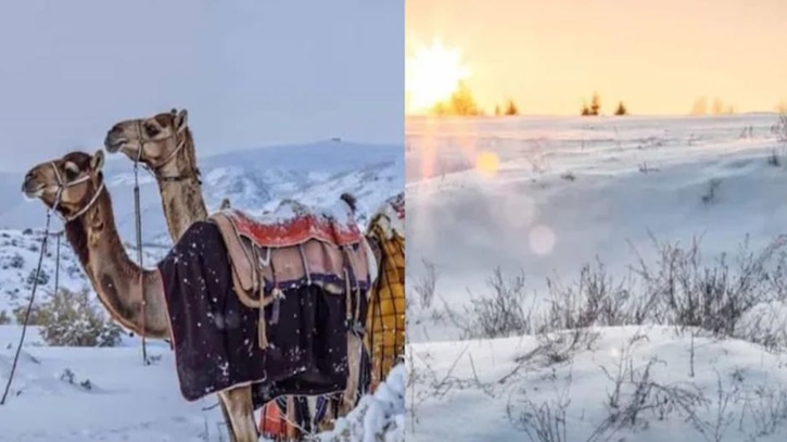 বরফের চাদরে ঢেকেছে সৌদির মরুভূমি