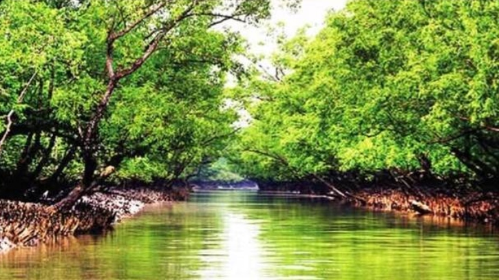 এবার সুন্দরবনে নদীপথে ৬২ জনকে বাংলাদেশে ‘পুশ-ইন’ করেছে বিএসএফ এবার সুন্দরবনে নদীপথে ৬২ জনকে বাংলাদেশে ‘পুশ-ইন’ করেছে বিএসএফ