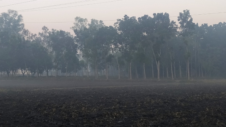 উত্তরের হিমেল বাতাসে শীতের তীব্রতা বাড়ছে, তেঁতুলিয়ায় সর্বনিম্ন তাপমাত্রা ৯ ডিগ্রি