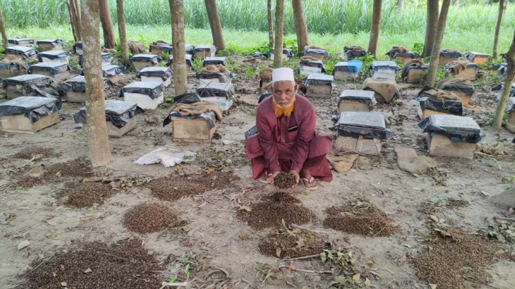 পুলিশ ট্রাক আটকে রাখায় গরমে মারা গেল ৫ লাখ টাকার মৌমাছি পুলিশ ট্রাক আটকে রাখায় গরমে মারা গেল ৫ লাখ টাকার মৌমাছি