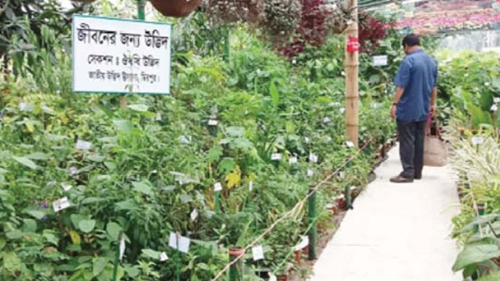 ২৫ জুন শুরু হচ্ছে পরিবেশ ও বৃক্ষমেলা ২৫ জুন শুরু হচ্ছে পরিবেশ ও বৃক্ষমেলা