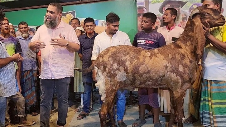 মতিউরের পর ছাগলের রশির প্যাঁচে ‘সাদিক এগ্রো’ মতিউরের পর ছাগলের রশির প্যাঁচে ‘সাদিক এগ্রো’
