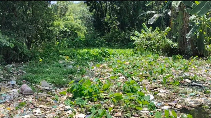 মেহের গোদাখালের বিভিন্ন অংশ দখলের অভিযোগ মেহের গোদাখালের বিভিন্ন অংশ দখলের অভিযোগ