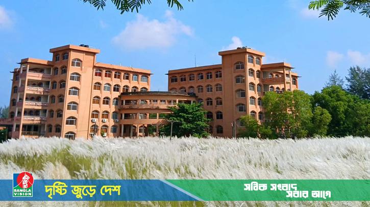 প্রশাসনের বাধা পেরিয়ে ফিরল কাশফুল: প্রকৃতির অদম্য জয়গান