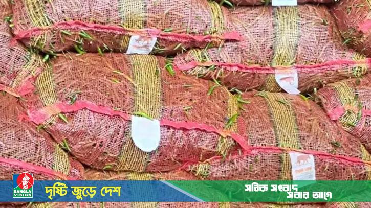 সোনামসজিদ স্থলবন্দর দিয়ে ৩০ টন কাঁচা মরিচ আমদানি