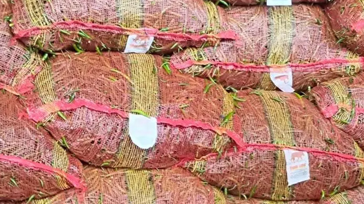 সোনামসজিদ স্থলবন্দর দিয়ে ৩০ টন কাঁচা মরিচ আমদানি