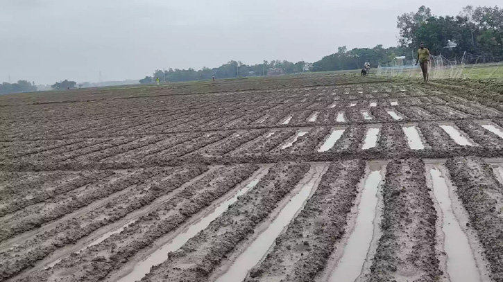 হঠাৎ বৃষ্টিতে ক্ষেতে জমেছে পানি, ধান ও সবজিচাষীদের মাথায় হাত