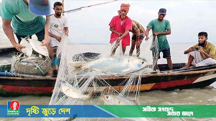 আজ রাত থেকে ইলিশ ধরলেই শাস্তি, অভিযান চলবে ২২ দিন