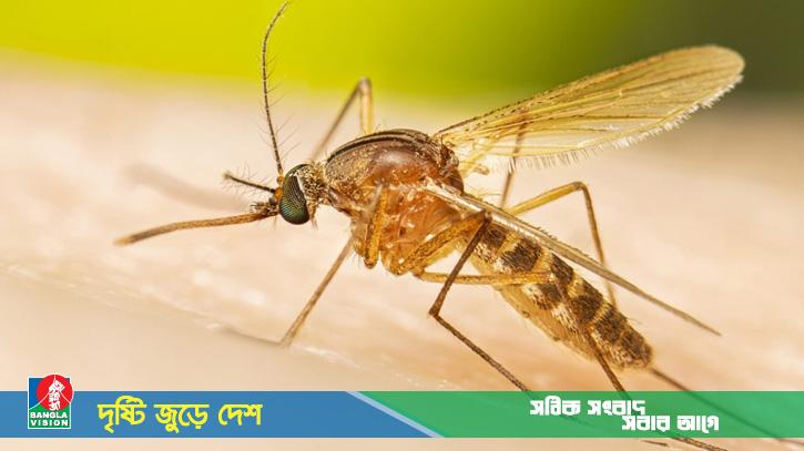 মশা তাড়াতে ধোয়া দিতে গিয়ে আগুন, প্রাণে বাঁচলেন দম্পতি!
