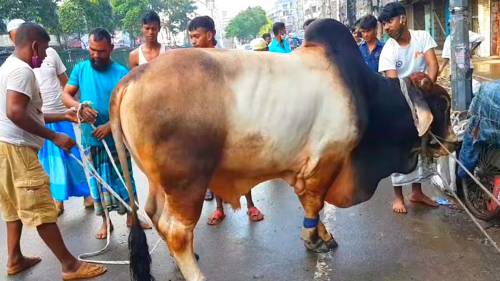 জেনে নিন, যে পরিমাণ টাকা থাকলে এ বছর কুরবানি ওয়াজিব হবে জেনে নিন, যে পরিমাণ টাকা থাকলে এ বছর কুরবানি ওয়াজিব হবে