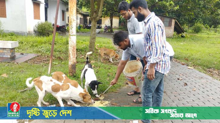 রাবিতে ফাঁকা ক্যাম্পাসে পশু-পাখিদের পাশে দাঁড়িয়েছে শাখা ছাত্রদল