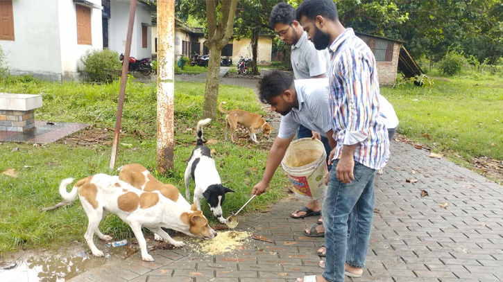 রাবিতে ফাঁকা ক্যাম্পাসে পশু-পাখিদের পাশে দাঁড়িয়েছে শাখা ছাত্রদল
