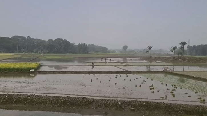 শীতে কাঁপছে সাতক্ষীরা, সর্বনিম্ন তাপমাত্রা রেকর্ড ১০.৮ ডিগ্রি 