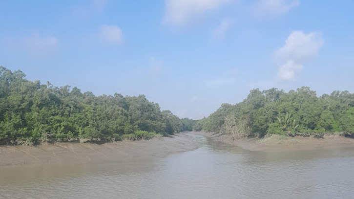 তিন মাস পর সোমবার থেকে পর্যটকদের জন্য আবার খুলছে সুন্দরবন তিন মাস পর সোমবার থেকে পর্যটকদের জন্য আবার খুলছে সুন্দরবন