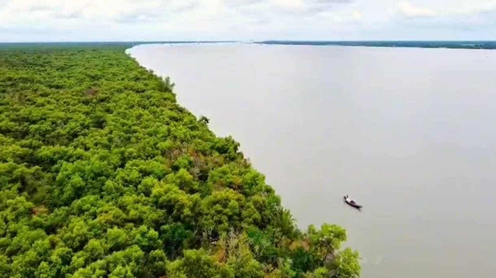 সুন্দরবনের ডিমের চরে সমুদ্রে গোসলে নেমে নিখোঁজ পর্যটক সুন্দরবনের ডিমের চরে সমুদ্রে গোসলে নেমে নিখোঁজ পর্যটক
