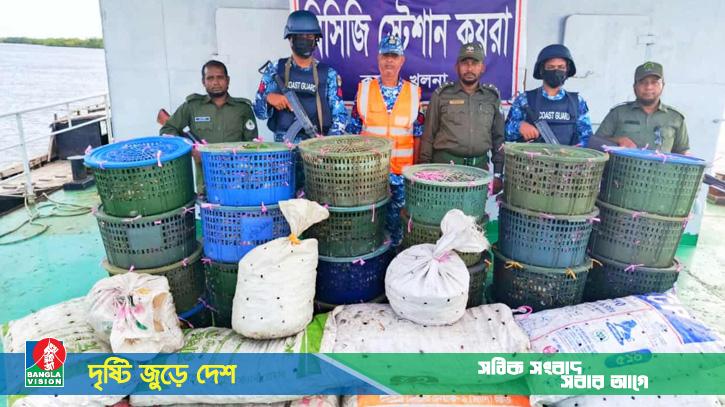 পাচারকারীদের ফেলে যাওয়া বোটে মিললো ৮৫০ কেজি কাঁকড়া