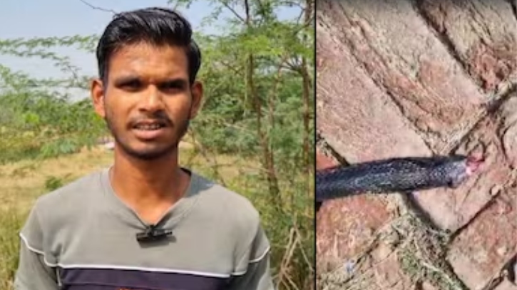 ছোবল দেওয়ায় রেগে সাপ ধরে কামড়ে মারলেন কৃষক