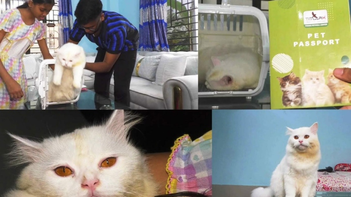 পাসপোর্ট নিয়ে ইতালি গেলো মুন্সীগঞ্জের বিড়াল!