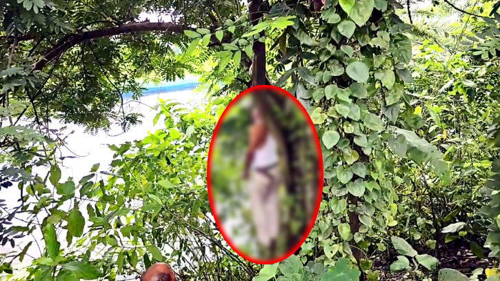কুষ্টিয়ায় চালককে হত্যার পর গাছে ঝুলিয়ে অটো ছিনতাই কুষ্টিয়ায় চালককে হত্যার পর গাছে ঝুলিয়ে অটো ছিনতাই