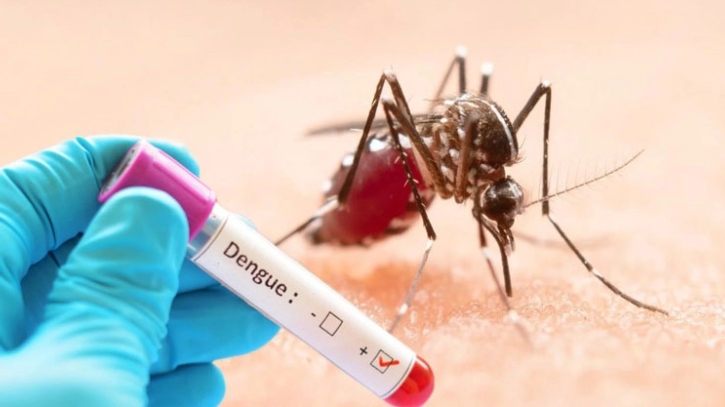 ডেঙ্গুতে প্রাণ গেলো আরও ২ জনের, হাসপাতালে ৬১০  