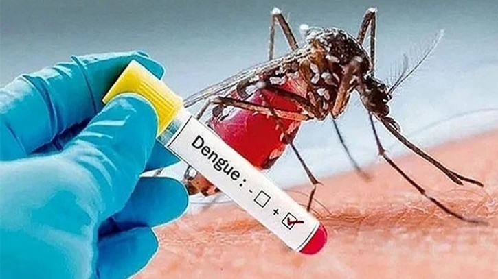 ডেঙ্গুতে আক্রান্ত হয়ে আরও ৩ জনের মৃত্যু, হাসপাতালে ৪১১ জন 