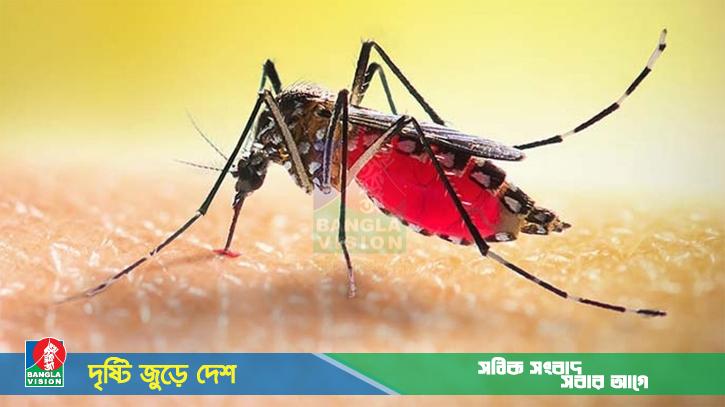 ২৪ ঘণ্টায় ডেঙ্গুতে আরও ৩ জনের মৃত্যু, হাসপাতালে ৫৫৬