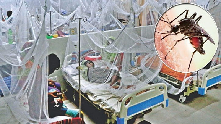 ডেঙ্গুতে চলতি বছর ২৪ ঘণ্টায় সর্বোচ্চ মৃত্যুর রেকর্ড ডেঙ্গুতে চলতি বছর ২৪ ঘণ্টায় সর্বোচ্চ মৃত্যুর রেকর্ড