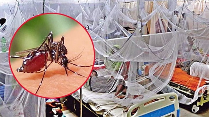 থামছে না ডেঙ্গুর প্রকোপ, আরও ৮ জনের প্রাণহানি থামছে না ডেঙ্গুর প্রকোপ, আরও ৮ জনের প্রাণহানি