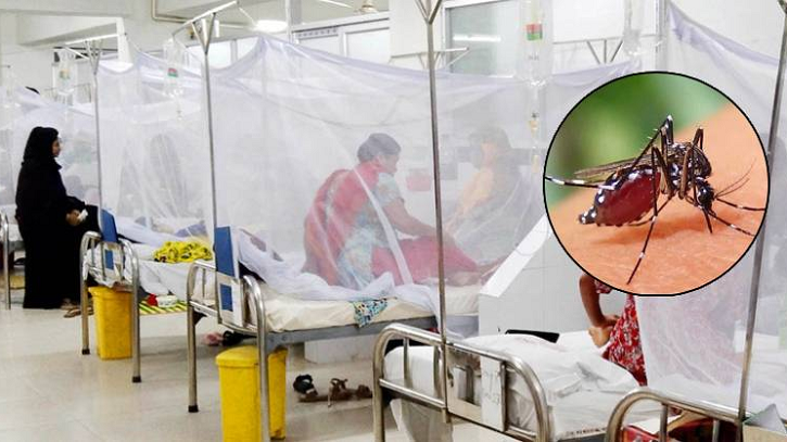 ২৪ ঘণ্টায় ডেঙ্গুতে আরও একজনের মৃত্যু, হাসপাতালে ৩৯১ ২৪ ঘণ্টায় ডেঙ্গুতে আরও একজনের মৃত্যু, হাসপাতালে ৩৯১