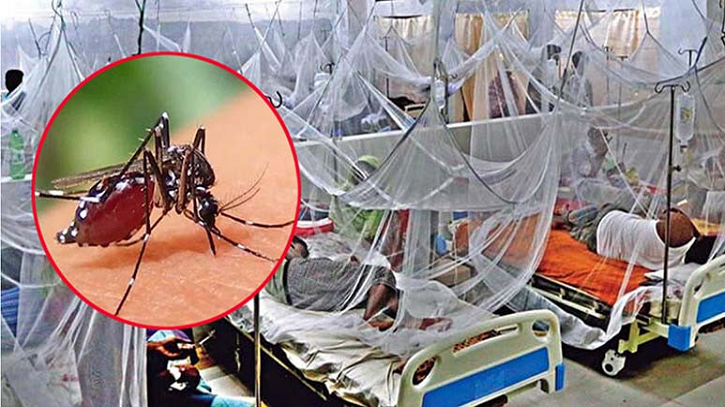 ডেঙ্গুতে ৩ জনের প্রাণহানি, হাসপাতালে ভর্তি ৪৯২ ডেঙ্গুতে ৩ জনের প্রাণহানি, হাসপাতালে ভর্তি ৪৯২