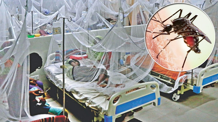 কমছে না প্রকোপ: ডেঙ্গুতে আক্রান্ত হয়ে হাসপাতালে আরও ৪২৯ জন কমছে না প্রকোপ: ডেঙ্গুতে আক্রান্ত হয়ে হাসপাতালে আরও ৪২৯ জন