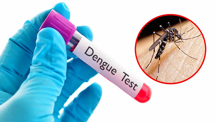 ডেঙ্গুতে প্রাণ গেলো আরও ৩ জনের, হাসপাতালে ভর্তি ৪৪৪ ডেঙ্গুতে প্রাণ গেলো আরও ৩ জনের, হাসপাতালে ভর্তি ৪৪৪