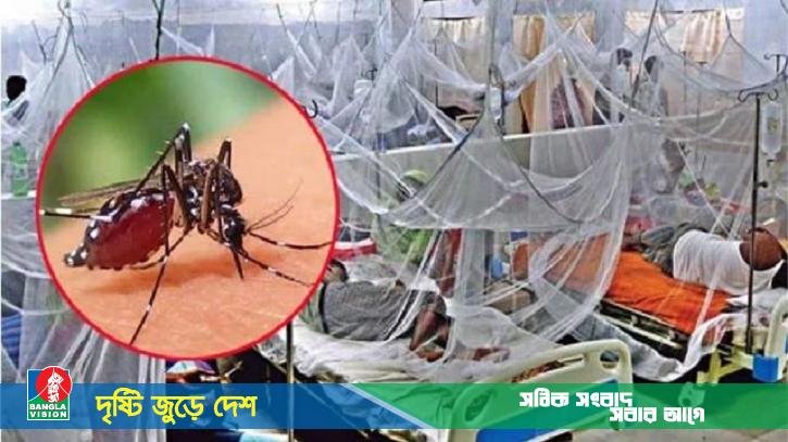 ডেঙ্গুতে আরও ২ মৃত্যু, চলতি বছর প্রাণহানি ২০০ জনের