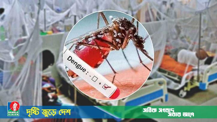 ডেঙ্গুতে আরও ২ জনের মৃত্যু, হাসপাতালে ৭১৫ জন