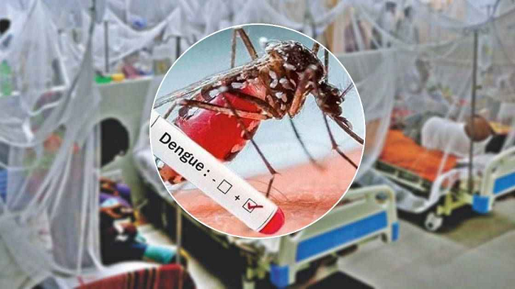 ডেঙ্গুতে আরও ২ জনের মৃত্যু, হাসপাতালে ৭১৫ জন ডেঙ্গুতে আরও ২ জনের মৃত্যু, হাসপাতালে ৭১৫ জন