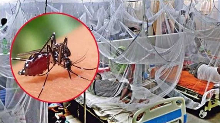 ডেঙ্গু কেড়ে নিলো আরও ৫ প্রাণ, হাসপাতালে ভর্তি ১১৩৯