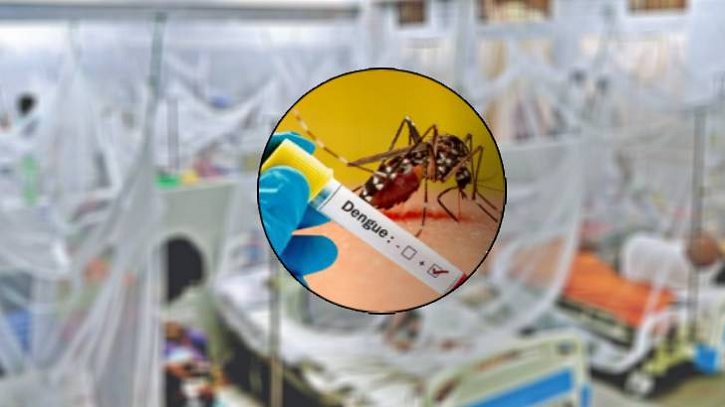 ডেঙ্গুতে ২৪ ঘণ্টায় আরও ৩ জনের মৃত্যু, ভর্তি ৮৩৩
