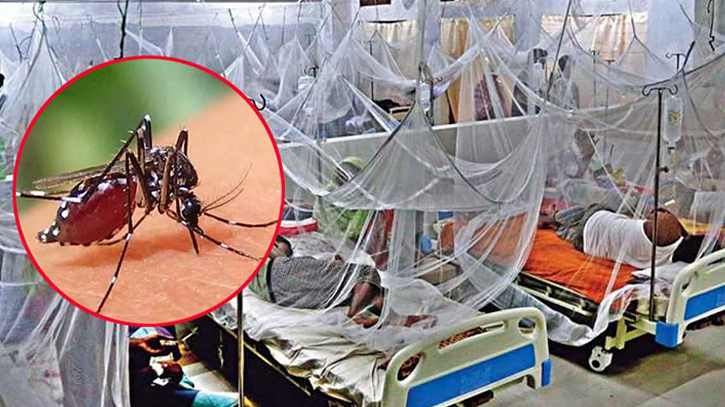 ডেঙ্গুতে আরও ৫ মৃত্যু, হাসপাতালে ১১৩৯