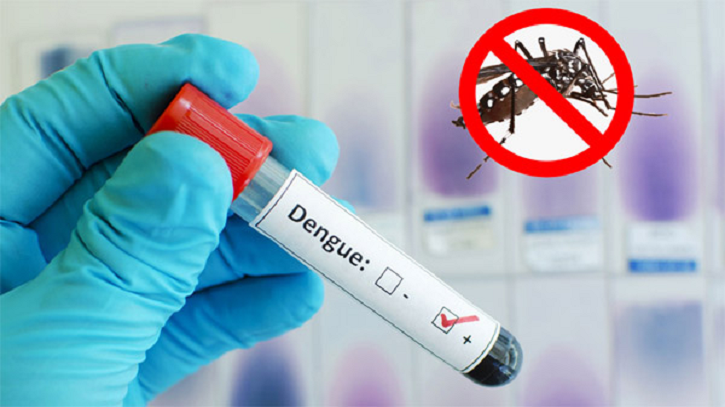 ডেঙ্গুতে প্রাণ গেল আরও ৪ জনের, হাসপাতালে ৭৪৫