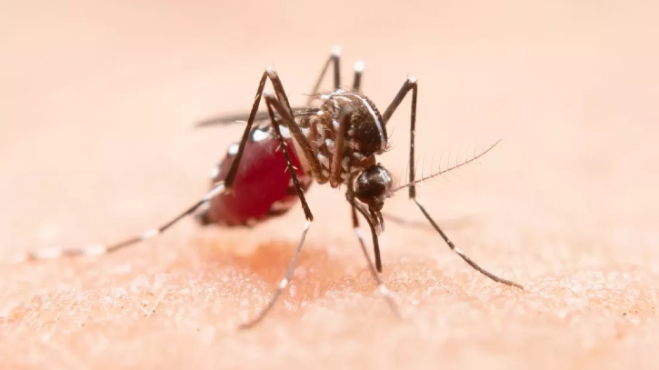 ডেঙ্গুতে হাসপাতালে ভর্তি আরও ৫৭২ জন