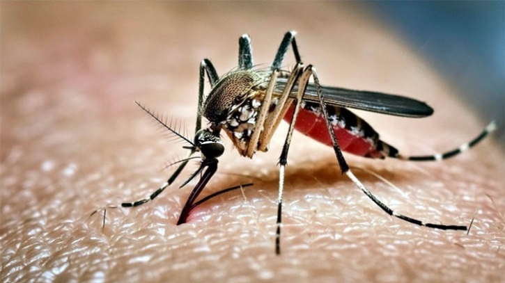 ডেঙ্গুতে প্রাণ গেলো আরও ৫ জনের, হাসপাতালে ১০৩৪ জন 