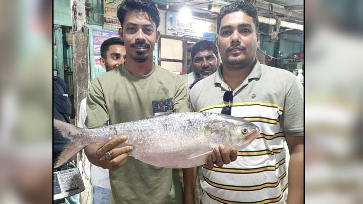 এক ইলিশ বিক্রি হলো সাড়ে ১৩ হাজার টাকায়! এক ইলিশ বিক্রি হলো সাড়ে ১৩ হাজার টাকায়!