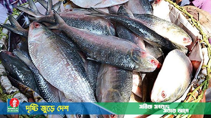 ভারতে ইলিশ রফতানি করতে পারবে ৩৭টি প্রতিষ্ঠান