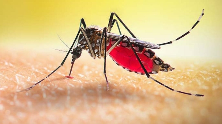 ২৪ ঘণ্টায় ডেঙ্গুতে আরও ৫ জনের মৃত্যু