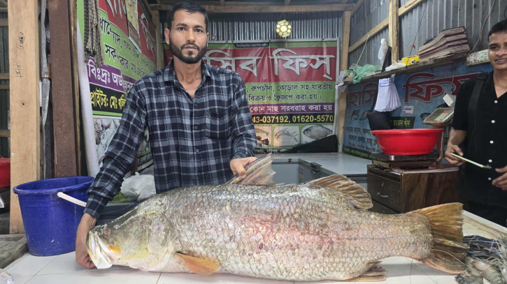৩৪ হাজার টাকায় বিক্রি হলো ২২ কেজি ওজনের কোরাল