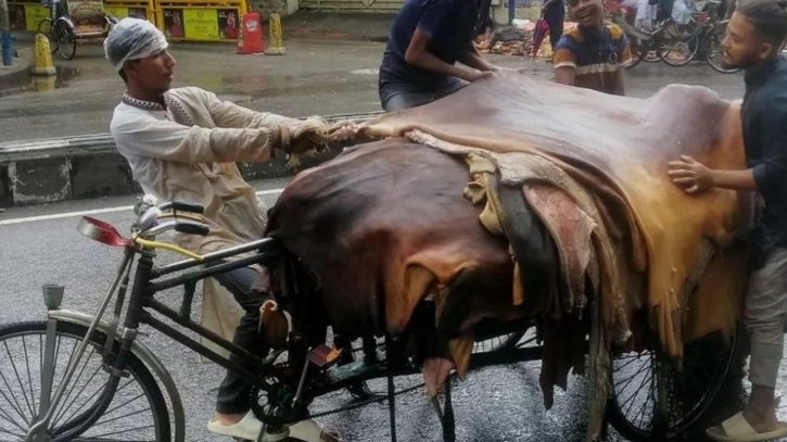 সরকারের বেঁধে দেওয়া দামের চেয়ে অনেক কমে কোরবানির পশুর চামড়া বিক্রি