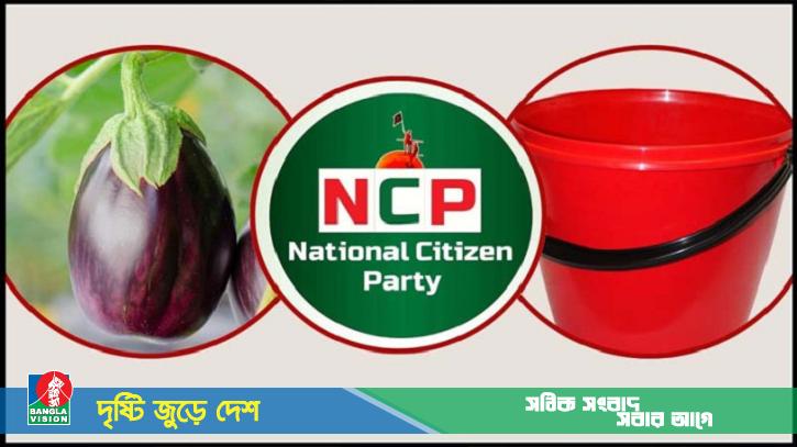 এনসিপিকে বেগুন-সেলাই মেশিন-বালতিসহ ৫০ প্রতীকের অপশন