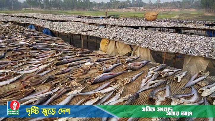 শুঁটকি দেখলেই নাক সিটকান, এটি খাওয়া কি ক্ষতিকর?