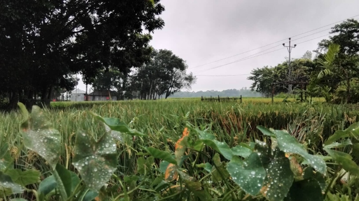 কার্তিকের বৃষ্টিতে শীতের বার্তা, বিপাকে উত্তরের প্রান্তিক জনপদ কার্তিকের বৃষ্টিতে শীতের বার্তা, বিপাকে উত্তরের প্রান্তিক জনপদ