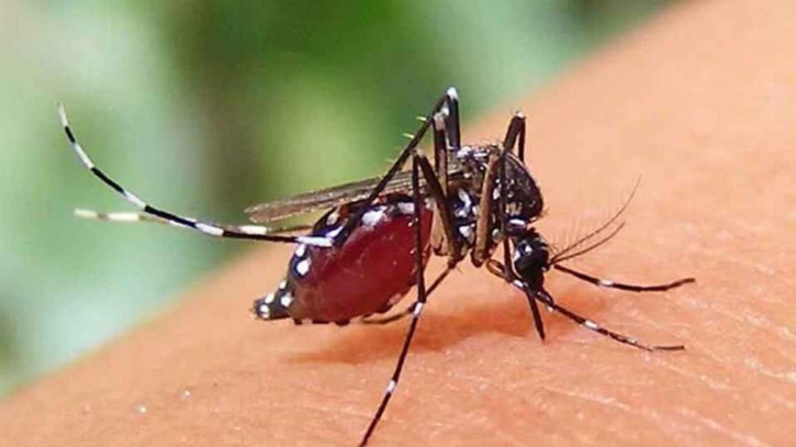 ডেঙ্গুর থাবায় প্রাণ গেলো আরও ৮ জনের, হাসপাতালে ৭৭৮ জন  